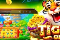 AP777 ABC VIP APK Guia Completo para Instalar e Aproveitar os Recursos Exclusivos